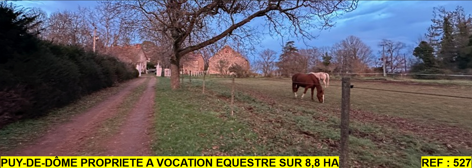 Spécialiste en Immobilier Equestre