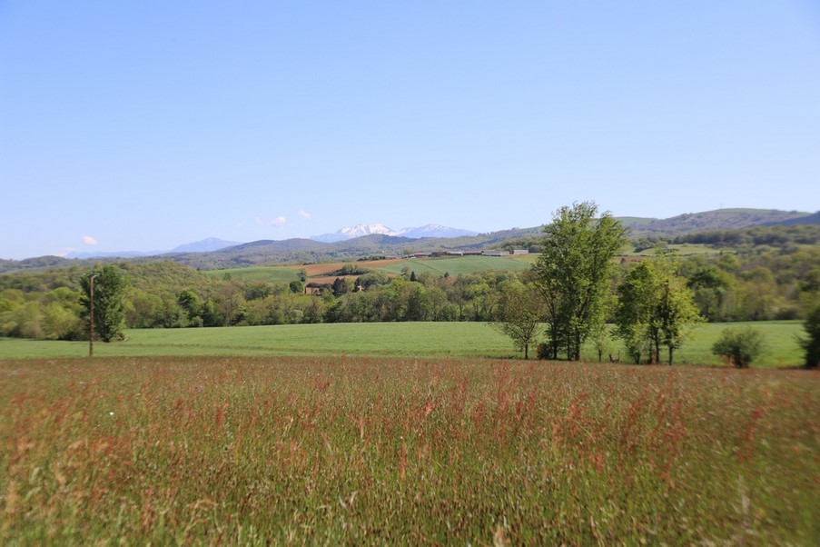 4.5 hectares