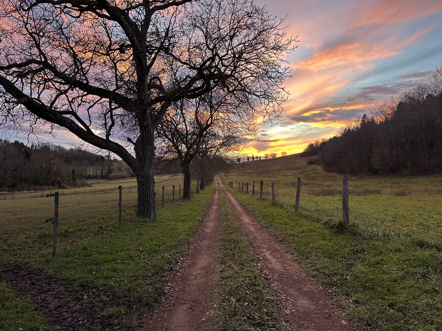 PTE EQUESTRE A VENDRE SUR 8 HECTARES